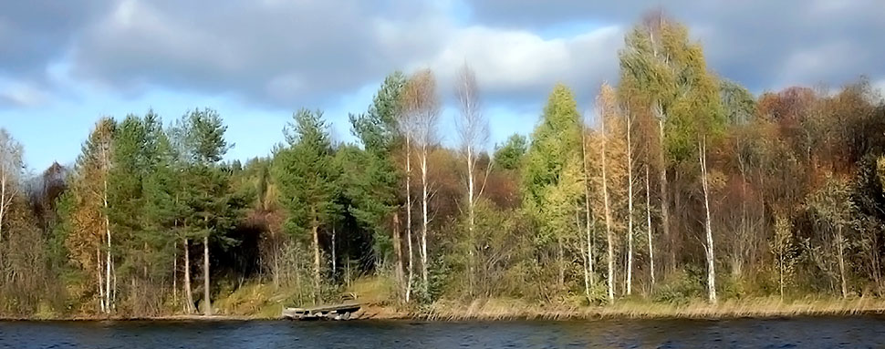 Участок в коттеджном поселке в Карелии