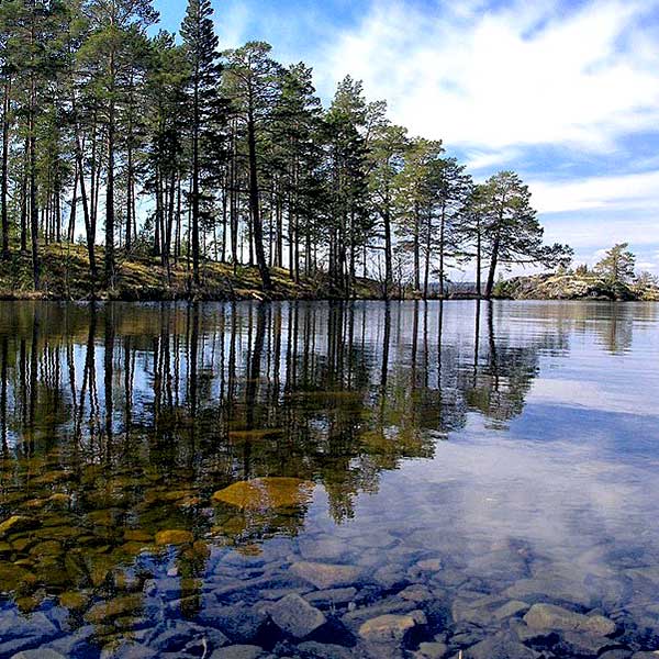 Мунозеро, прозрачная вода
